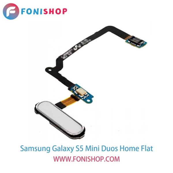 فلت هوم گوشی سامسونگ گلکسی اس5 مینی دوز Samsung Galaxy S5 Mini Duos