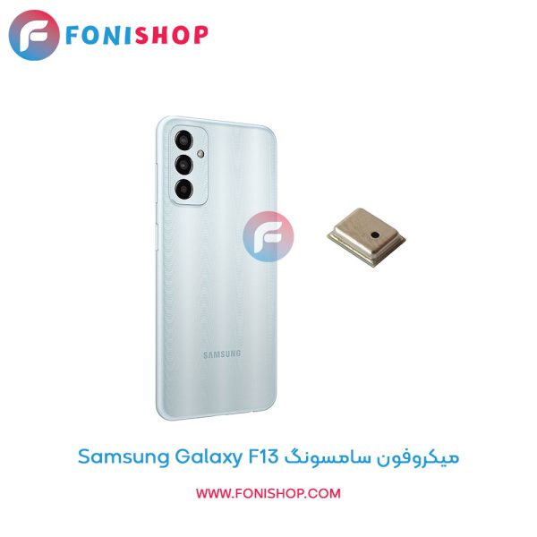 میکروفون سامسونگ Galaxy F13
